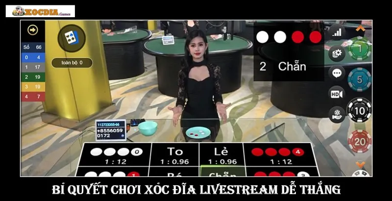 Tìm Hiểu về Biểu Hiện của Người Quản Trò